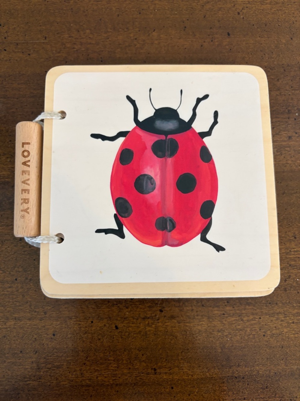 Lovevery First Book Wooden Board Book Nature Pictures